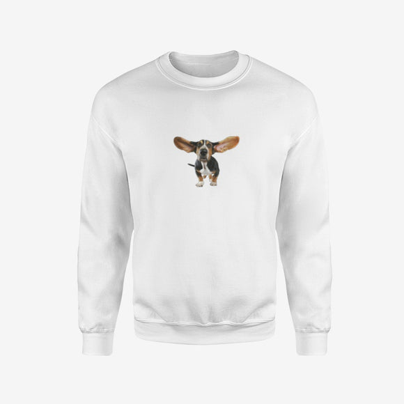 Men's Crew Neck Sweatshirt